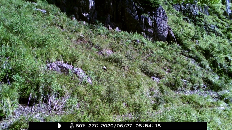 item thumbnail for Blank Day