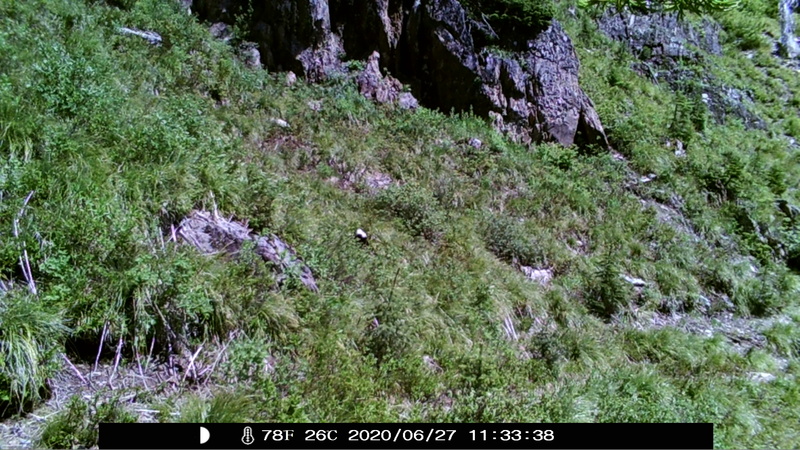 item thumbnail for Blank Day