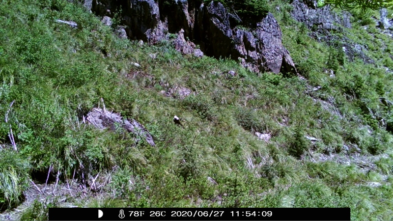 item thumbnail for Blank Day