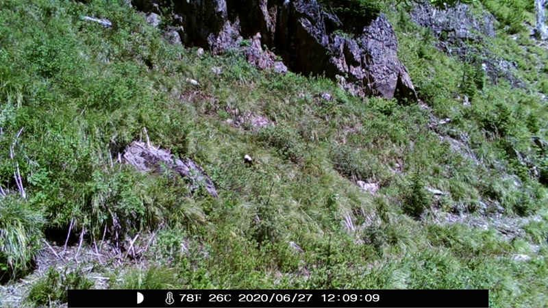 item thumbnail for Blank Day