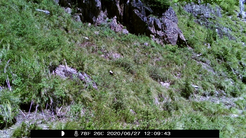 item thumbnail for Blank Day