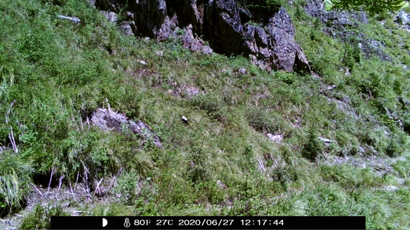 item thumbnail for Blank Day