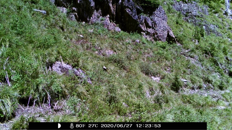 item thumbnail for Blank Day