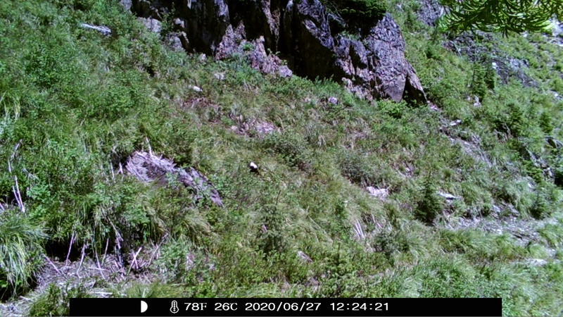 item thumbnail for Blank Day