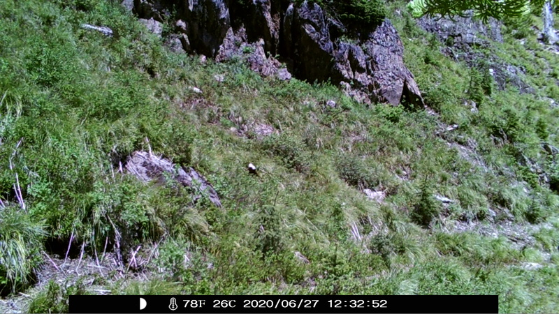 item thumbnail for Blank Day