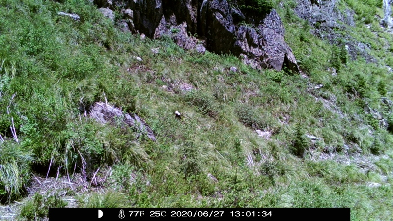 item thumbnail for Blank Day