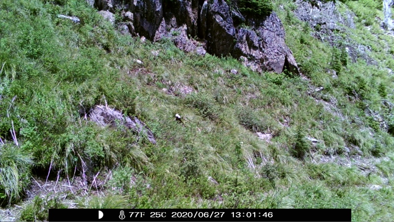 item thumbnail for Blank Day