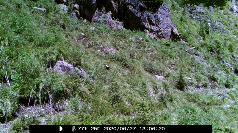 item thumbnail for Blank Day