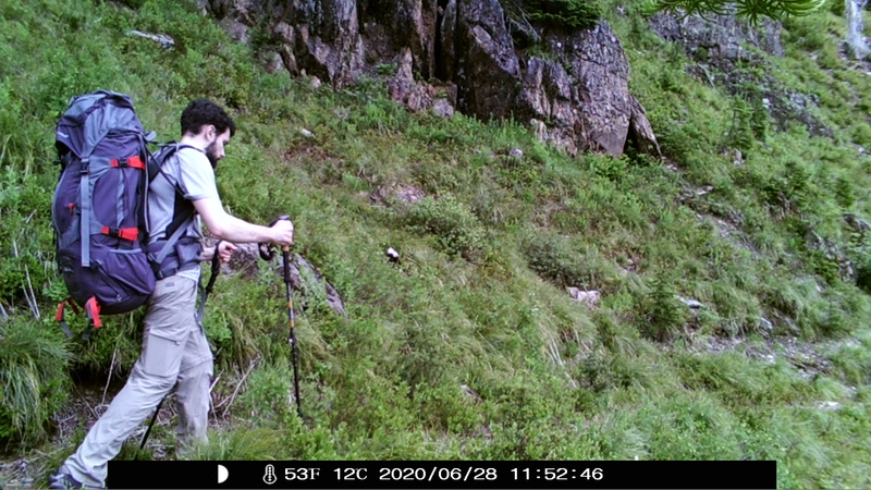 item thumbnail for Overnighter