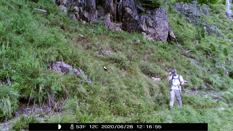 item thumbnail for Hiker Adjusts Cap