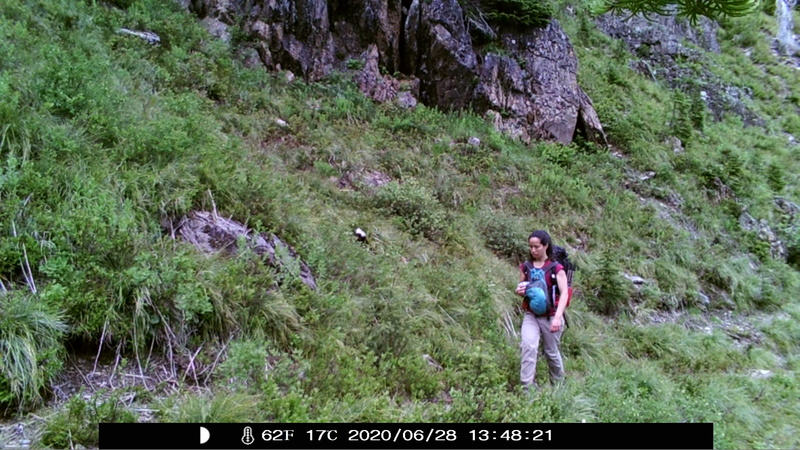 item thumbnail for Hiker on the Loop