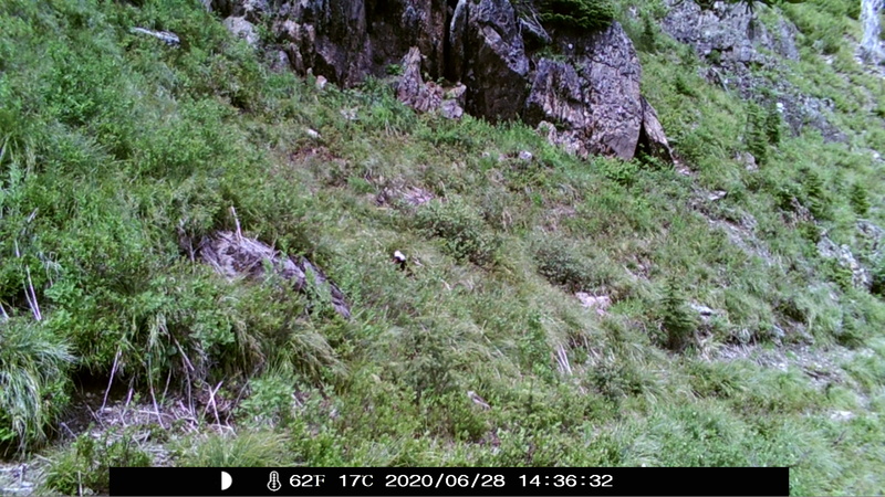 item thumbnail for Blank