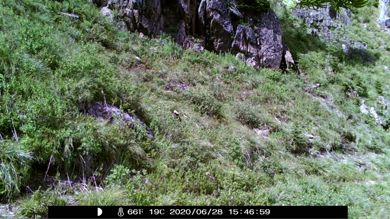 item thumbnail for Blank