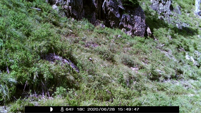 item thumbnail for Blank