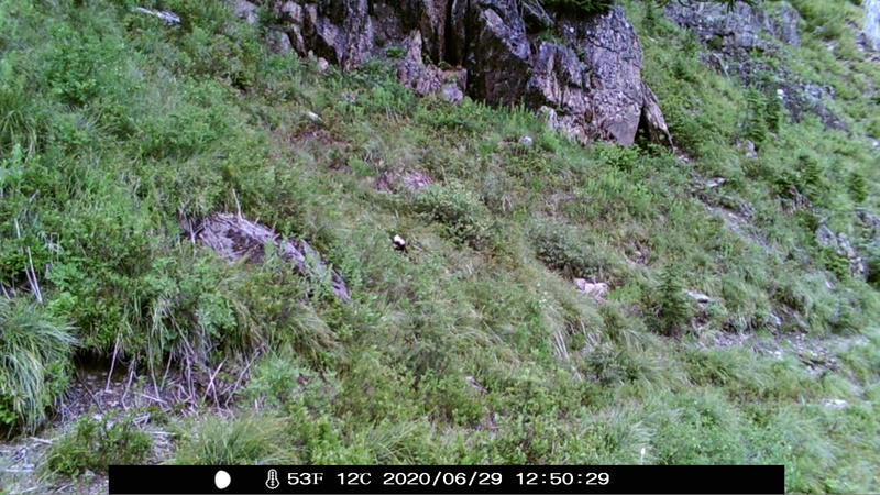 item thumbnail for Day on the Loop