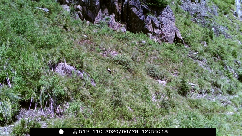 item thumbnail for Day on the Loop