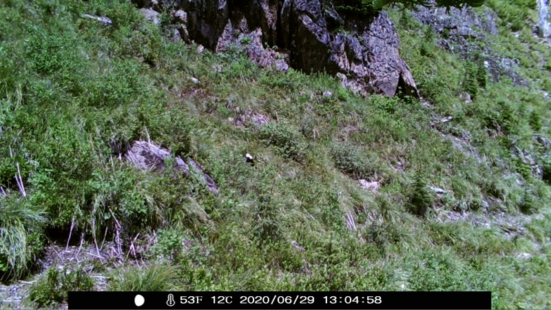 item thumbnail for Day on the Loop