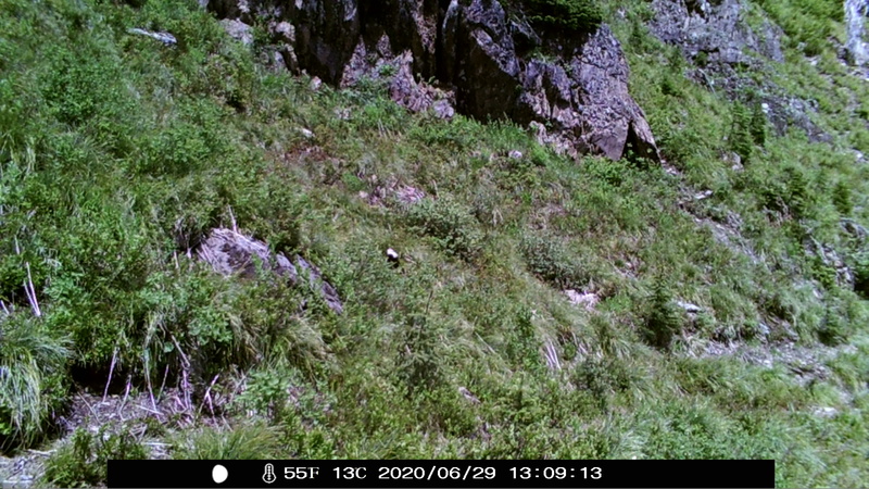 item thumbnail for Day on the Loop