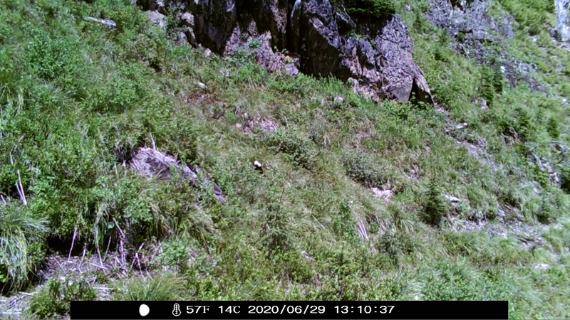 item thumbnail for Day on the Loop