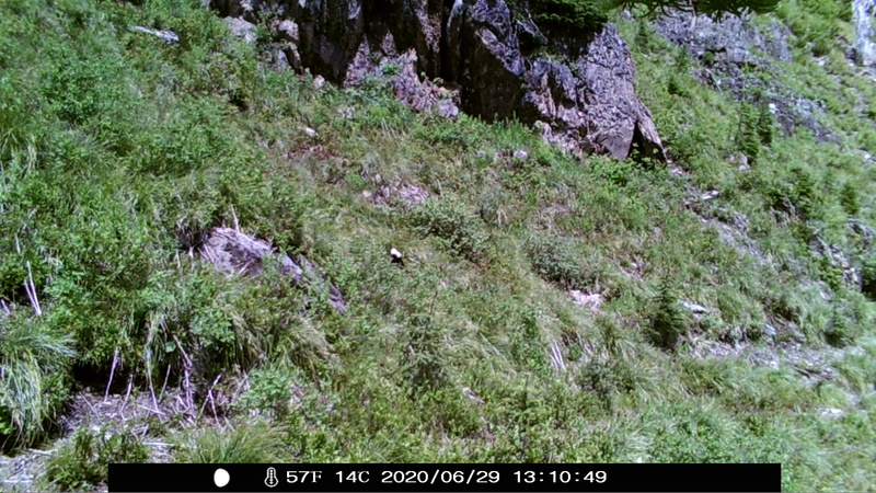 item thumbnail for Day on the Loop