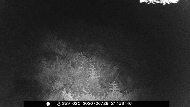 item thumbnail for Unknown