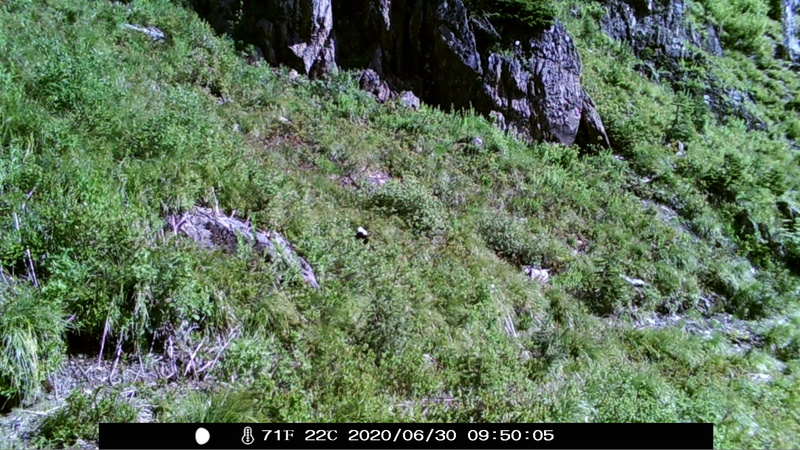 item thumbnail for Day on the Loop