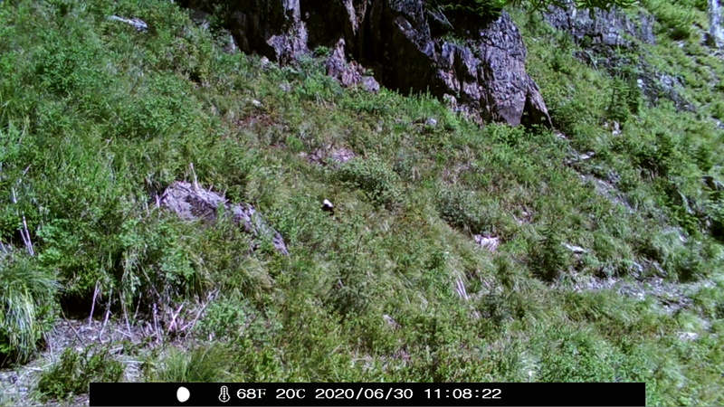 item thumbnail for Day on the Loop