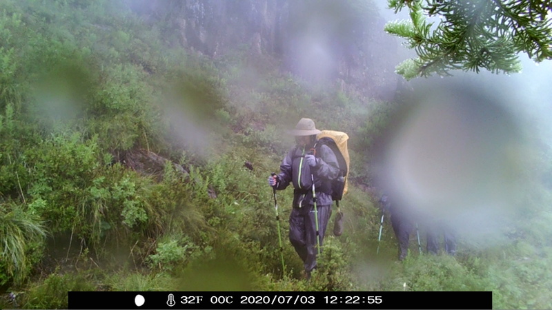 item thumbnail for Raindogs