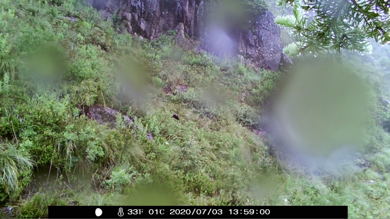 item thumbnail for Camera Retrieval 