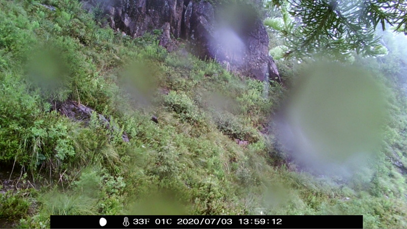 item thumbnail for Camera Retrieval 