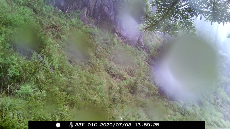 item thumbnail for Camera Retrieval 