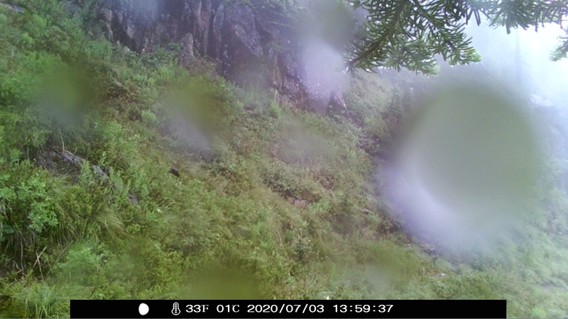 item thumbnail for Camera Retrieval 