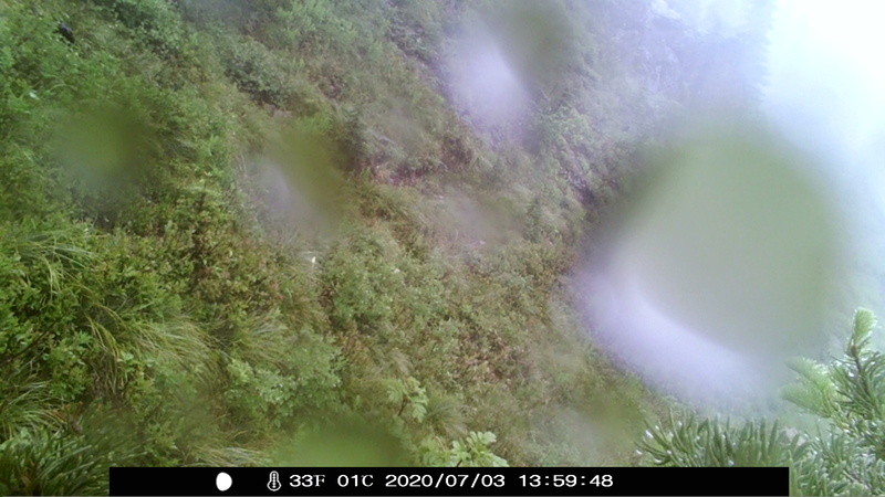 item thumbnail for Camera Retrieval 