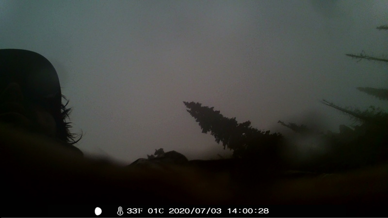 item thumbnail for Silhouetted with Subalpine