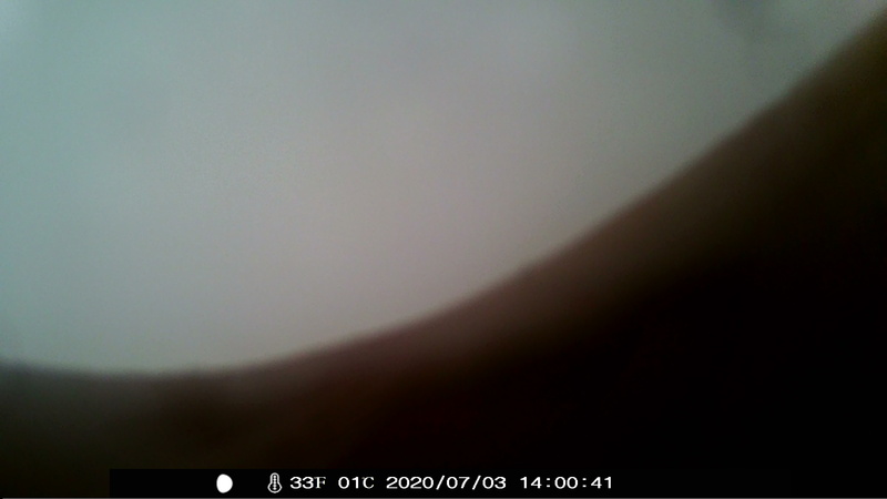 item thumbnail for FIN