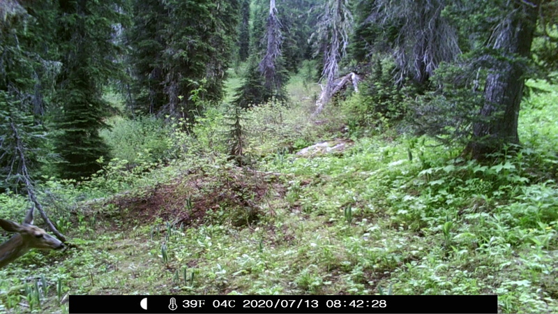 item thumbnail for Head