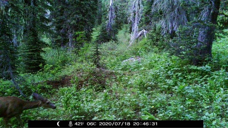 item thumbnail for Browsing