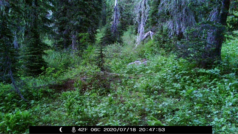 item thumbnail for Dusk