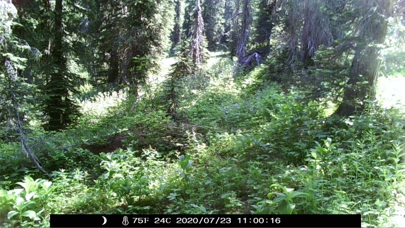 item thumbnail for Unknown