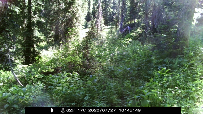 item thumbnail for Unknown