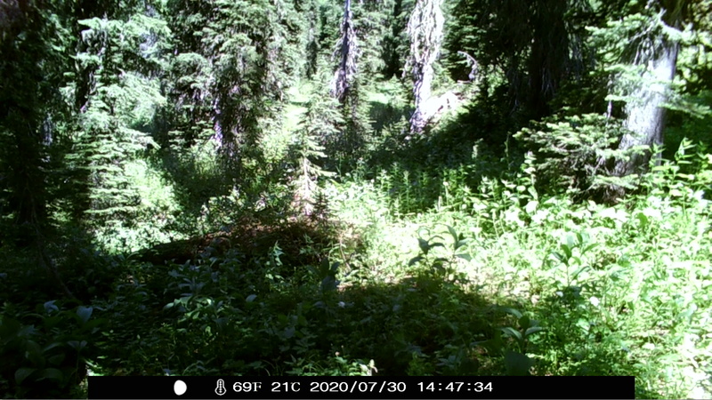 item thumbnail for Unknown