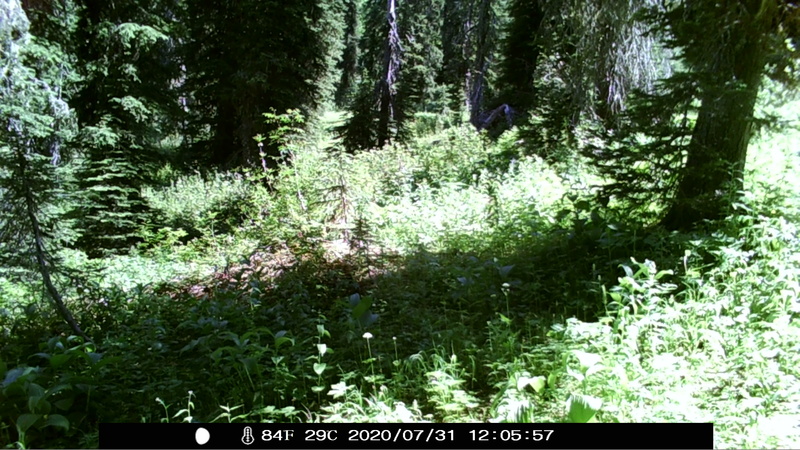 item thumbnail for Unknown