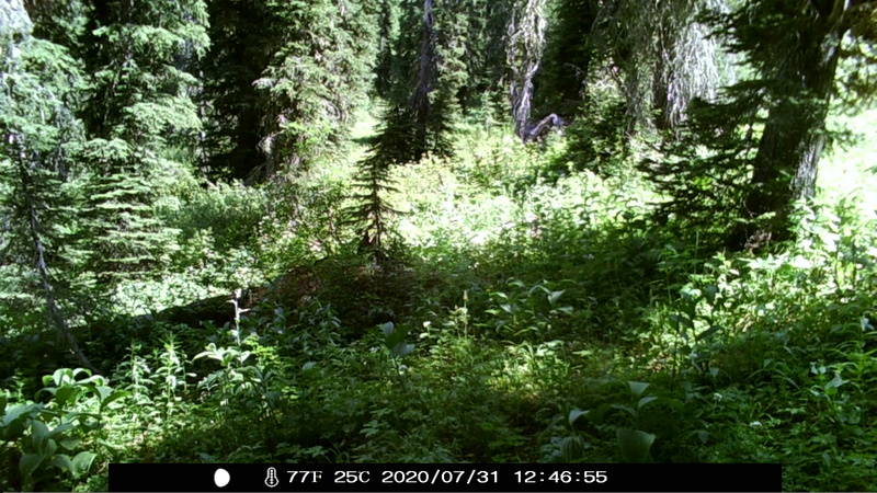 item thumbnail for Unknown