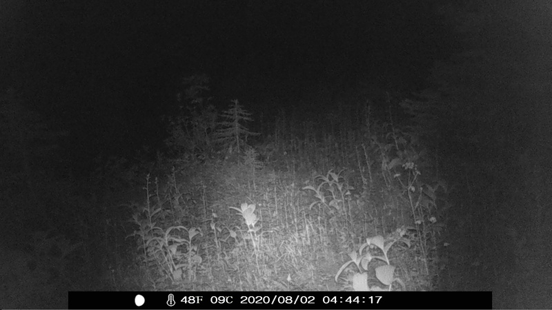 item thumbnail for Unknown