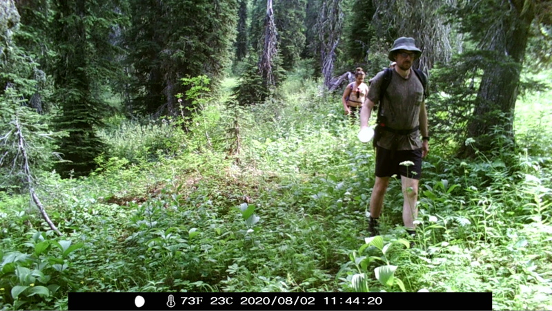 item thumbnail for Hikers Approaching