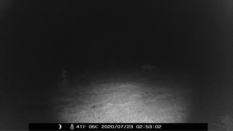 item thumbnail for Browser On The Edge Of Dark