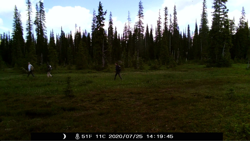 item thumbnail for Hikers Passing