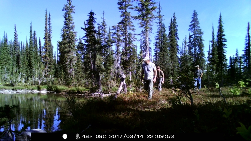 item thumbnail for Hikers Approach