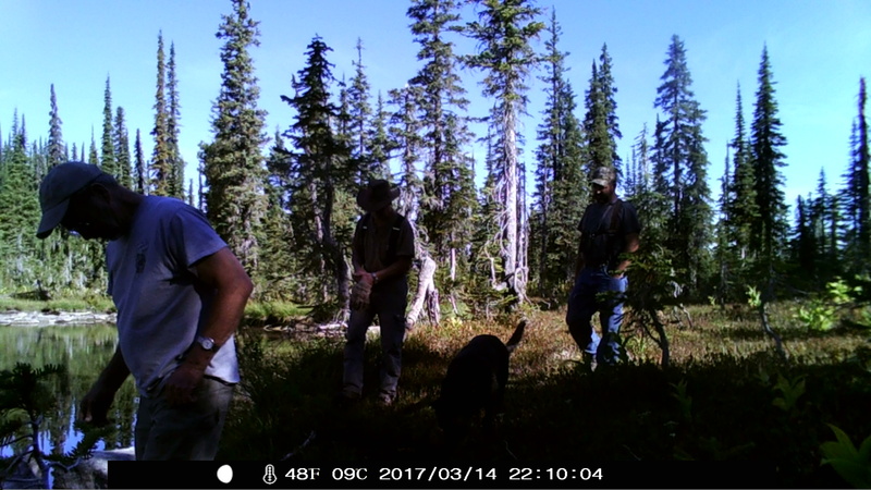 item thumbnail for Hikers Approach