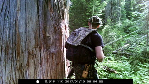 Hiker Passes Tree